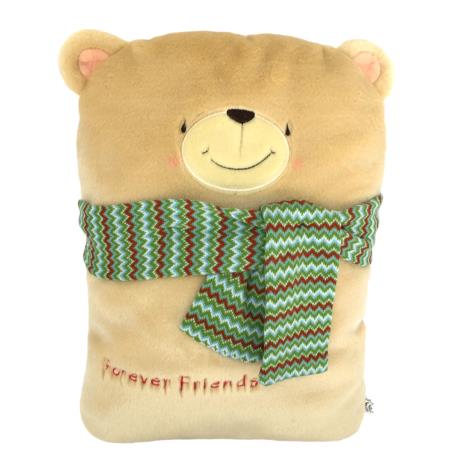 Forever Friends Bear with Scarf Cushion